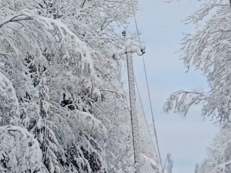 В Демянском округе работают 12 аварийных бригад и 20 единиц техники