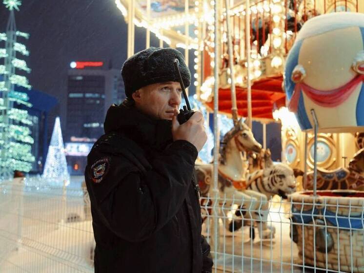 Более 50 тысяч полицейских обеспечивали порядок в новогоднюю ночь