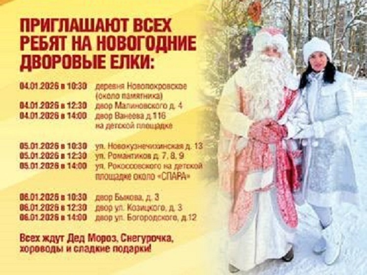 Татьяна Гриневич приглашает нижегородцев на новогодние дворовые елки
