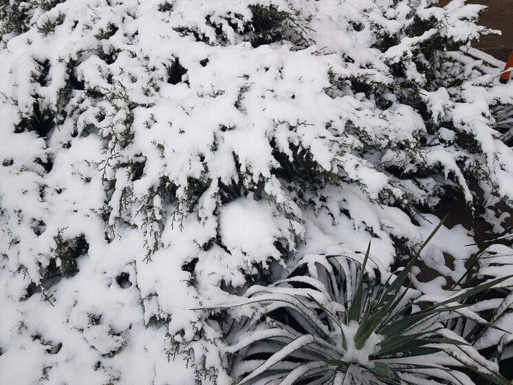 Снегопад в Сочи оставил без воды около 2000 жителей села Измайловка