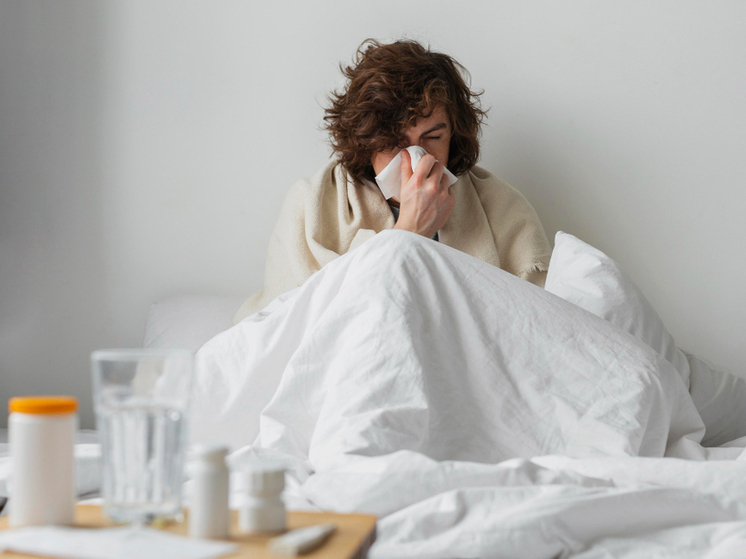 Эпидсезон-2026 в Тамбове: после гриппа А наступит очередь вируса В