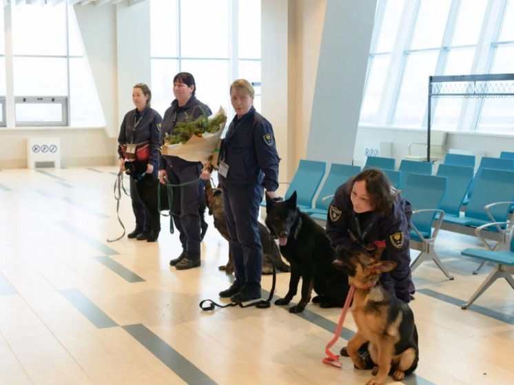 В аэропорту Южно-Сахалинска служебные собаки впервые встретили Новый год на посту