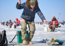 Зимняя рыбалка в Московской области — это не просто хобби, а целая культура