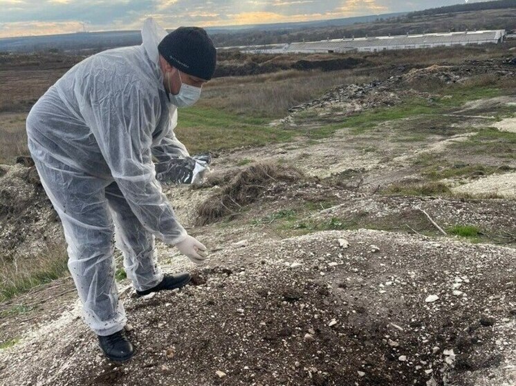 Более 63 тысяч доз вакцины от бешенства разложили в Белгородской области в 2025 году