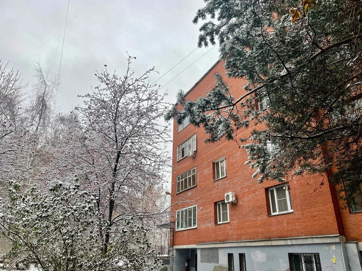 В ночь на субботу в Рязанской области похолодает до -19°С