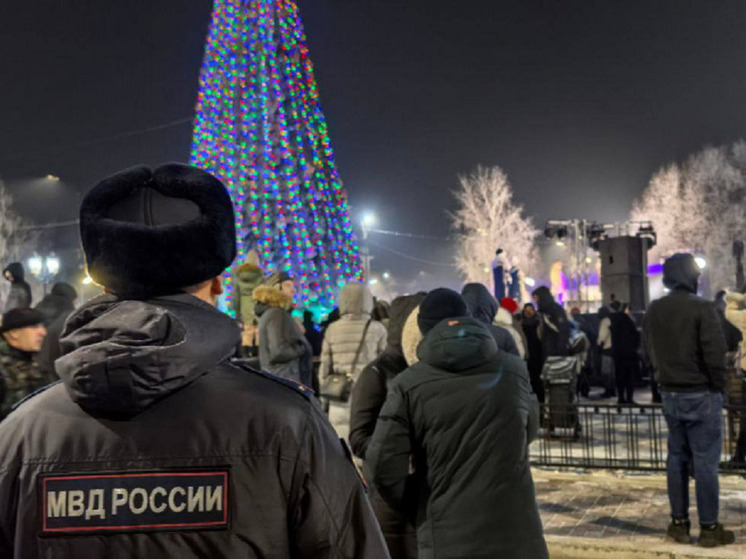 Более 18 тысяч жителей Красноярского края встретили Новый год на праздничных ёлках