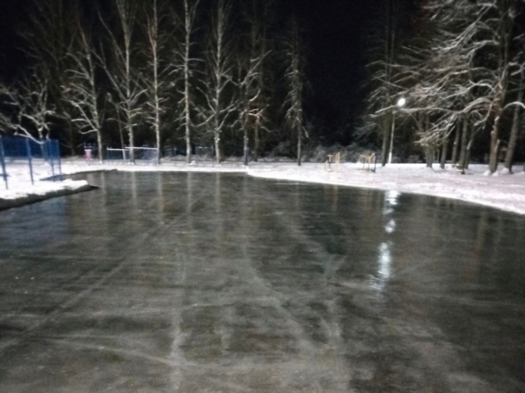 В Старой Руссе начали прокладывать лыжни и заливать катки
