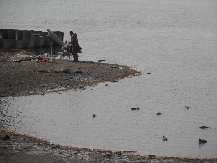 Жительница Новосибирской области выловила огромного ротана весом 450 граммов