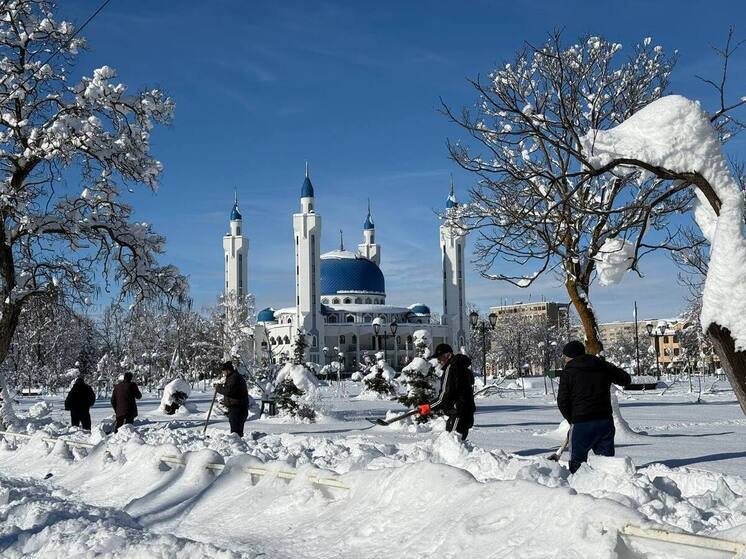Муниципалитеты Адыгеи направили бригады в Майкоп для уборки снега