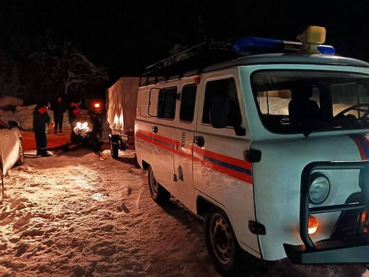 В Сочи убрали с улиц более 430 поваленных деревьев после непогоды