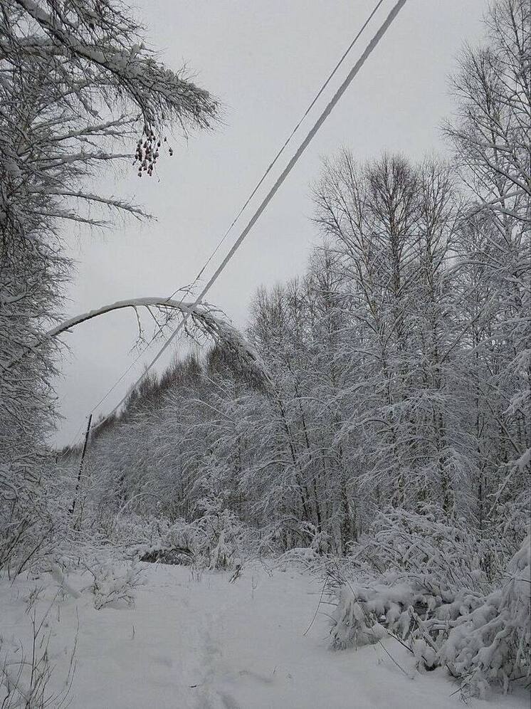 Усиленная группировка «Россети Центр» восстанавливает электроснабжение Тверской области