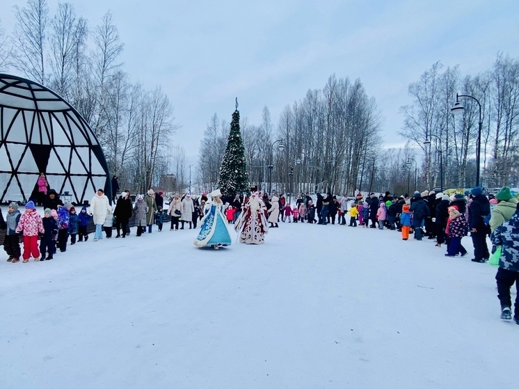 В Выборге прошла игровая программа «Новый, Новый год!»