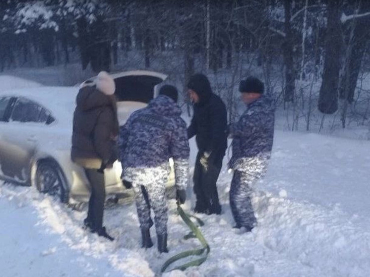 Росгвардейцы помогли женщине с ребёнком, попавшим в ДТП на тюменской трассе
