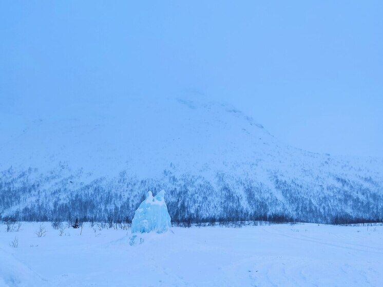 В 2025 году экологи выявили 170 нарушений и восстановили 1200 гектаров леса
