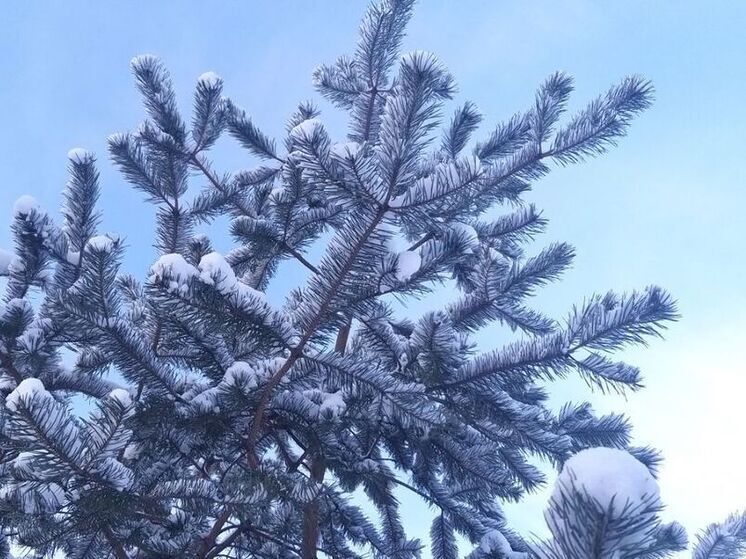 В Ленобласти 3 января ожидается снегопад и до -11 градусов