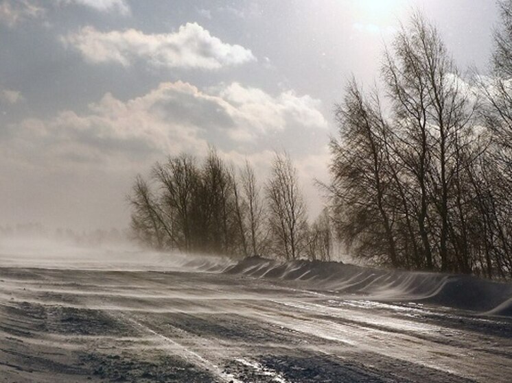 Идет метель: костромичам обещают резкое ухудшение погоды