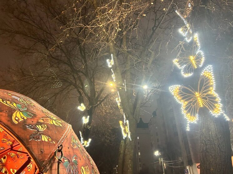 Новогоднюю ночь на площади Ленина в Воронеже провели более 21 тысячи человек