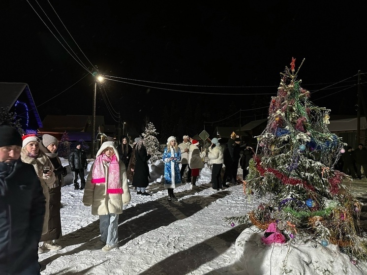  ТОС  «Лесная сказка» в поселке Плесецк отпраздновало Новый год