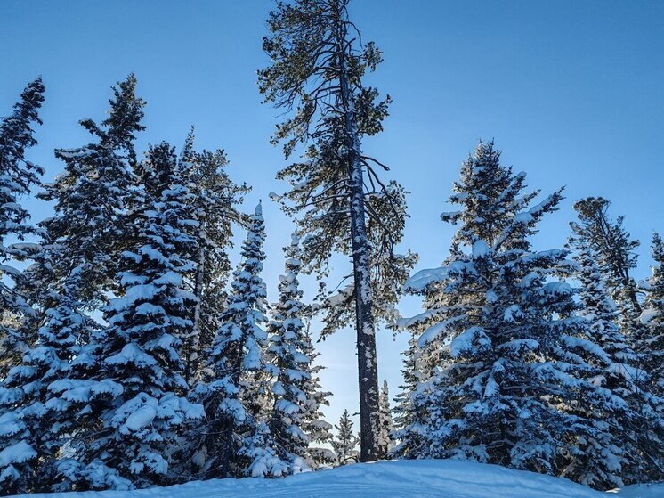 В Улан-Удэ 3 января потеплеет, возможен снег