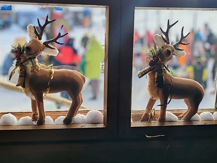 По народному календарю 3 января 2026 года отмечается день Петра Полукорма. Православная церковь в эту дату вспоминает святого Прокопия Вятского — юродивого, который родился в крестьянской семье в 1578 году. 