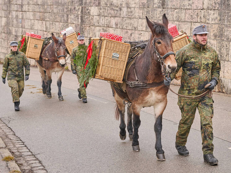 FAZ: элита Бундесвера практиковала изнасилования, унижения и нацистские приветствия