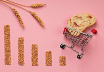 В наступившем году всех россиян интересуют цены на продукты питания