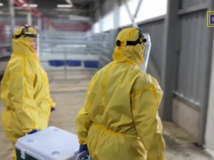 В Калужской области отменён карантин по бруцеллезу