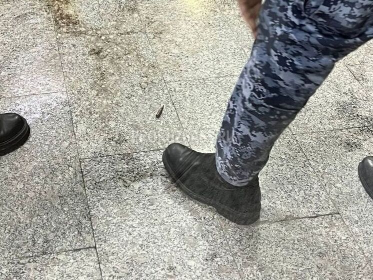 Боевой патрон нашли в Кемеровском цирке перед представлением