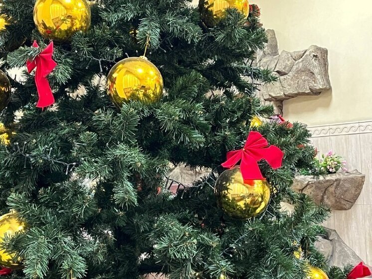 В Екатеринбурге новорождённых выписывают в новогодних костюмах