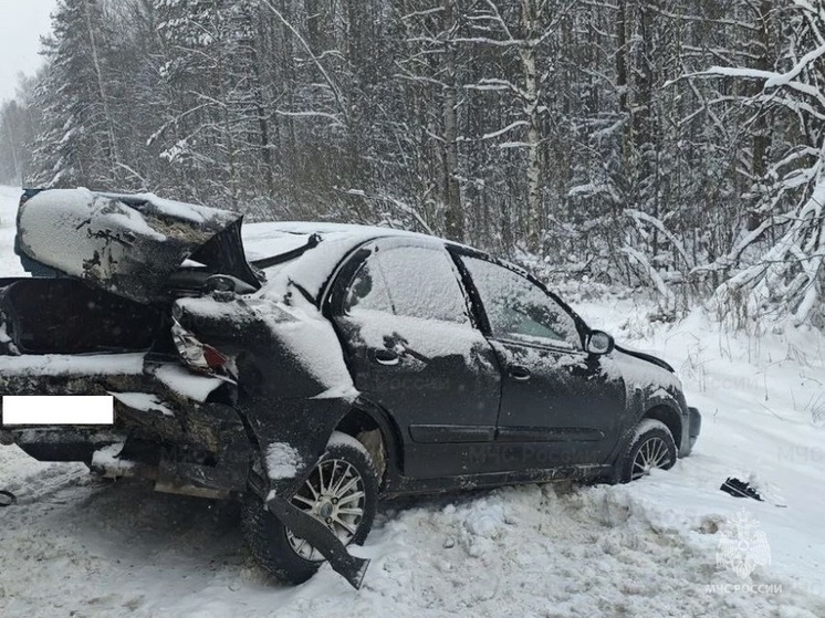 На жиздринском участке Киевской трассы столкнулись три иномарки