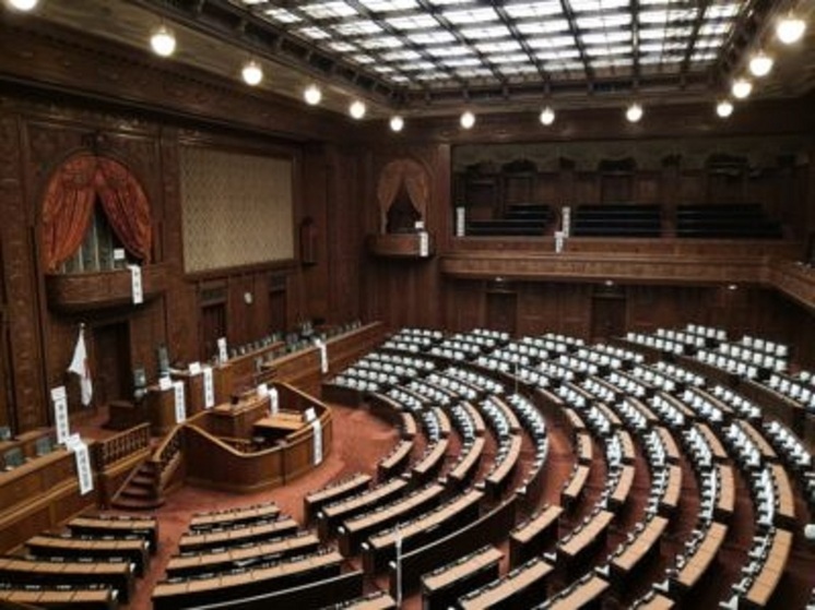 TBS: в Японии мужчина разделся у дворца во время приветствия императора Нарухито