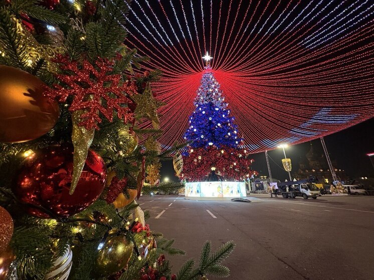 В Госдуме назвали тульскую елку лучшей в России