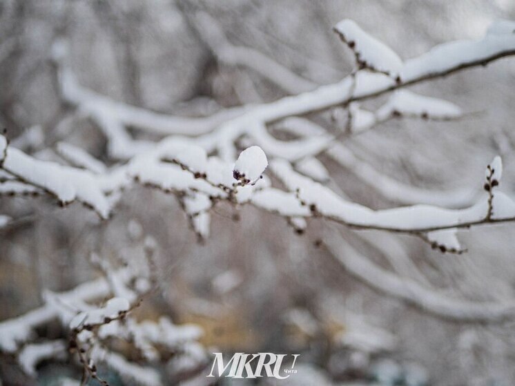 ТАСС: самый суровый мороз в первый день 2026 года обрушился на Якутию и Колыму