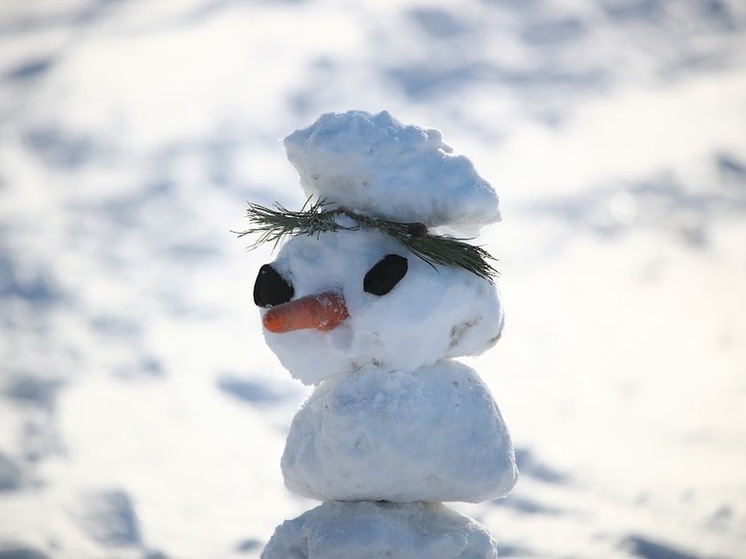 В Астраханской области ожидаются ночные заморозки до -17 градусов