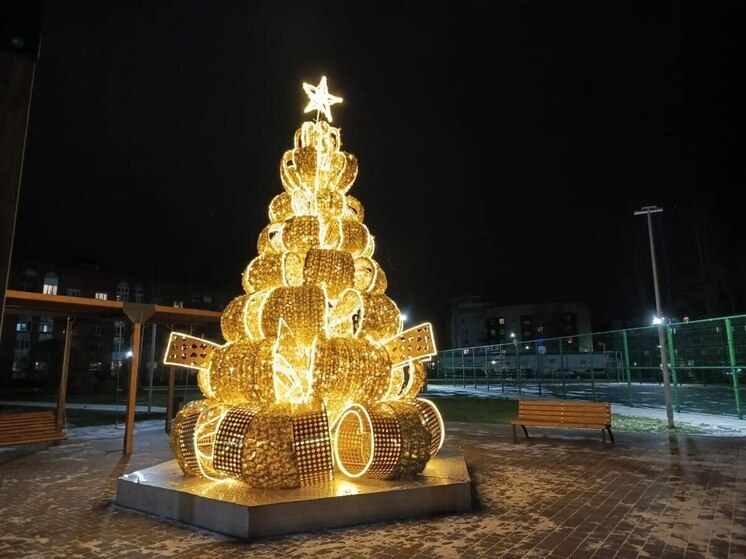 В Ленобласти выберут самую красивую новогоднюю елку