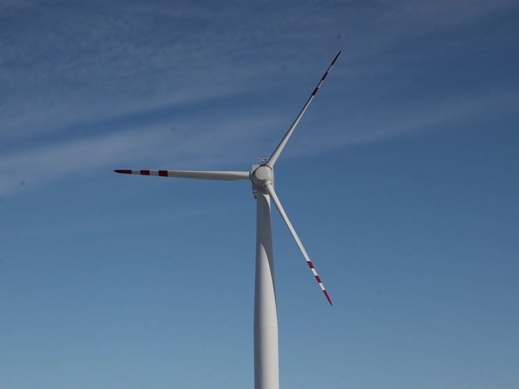 Трамп считает, что ветряные электростанции убивают миллионы птиц