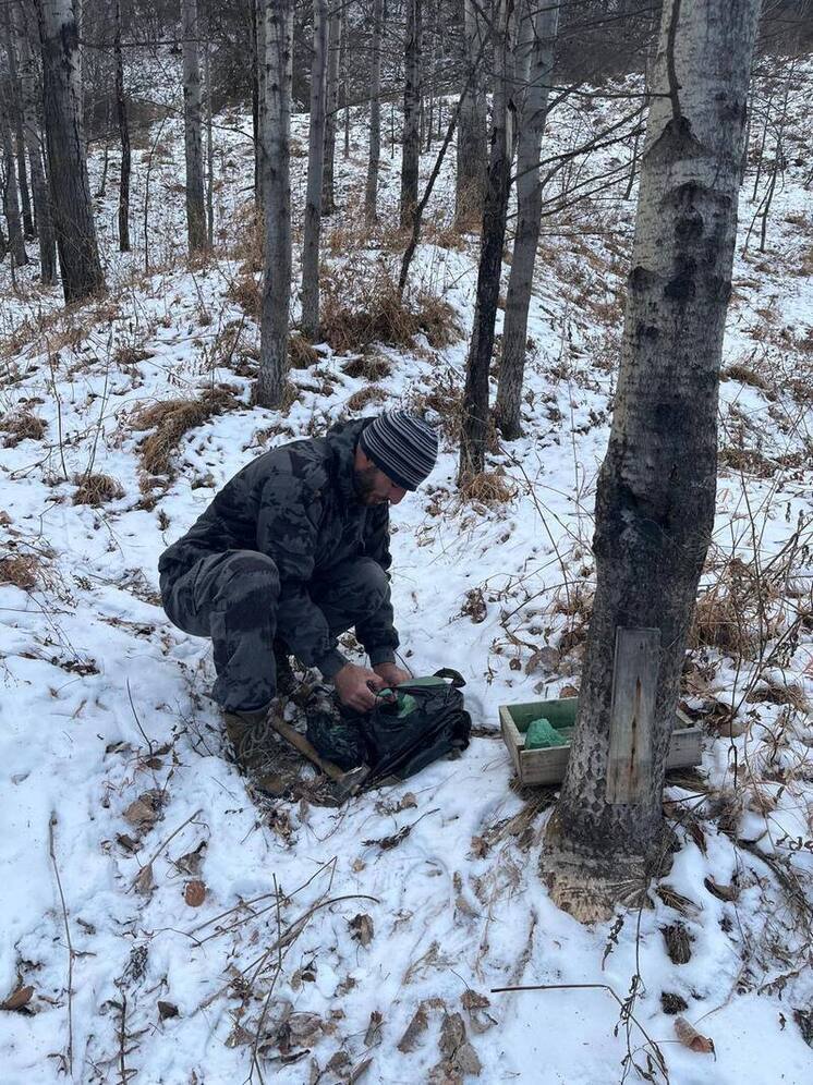 Минприроды Дагестана организовало зимнюю подкормку диких животных