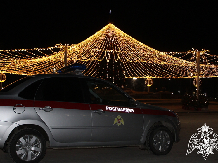 Росгвардия Липецкой области на время праздников работает в усиленном режиме