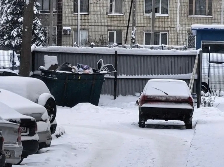 Тихвинцев оштрафуют за парковку у мусорок