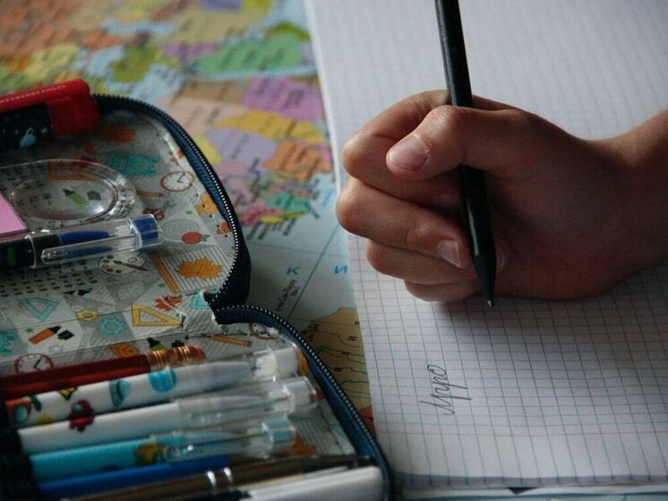 Причины ябедничества у школьников разъяснили жителям Петербурга