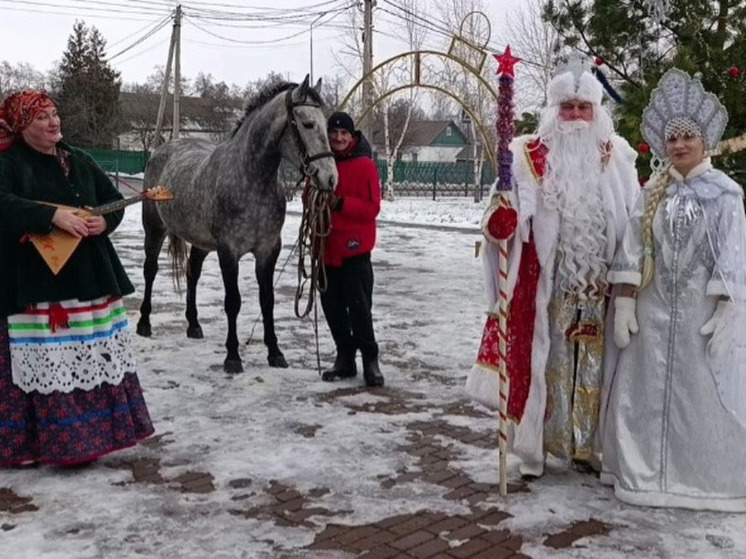 Главный символ года: конь Ферзь поздравил тамбовчан с наступившим 2026-м