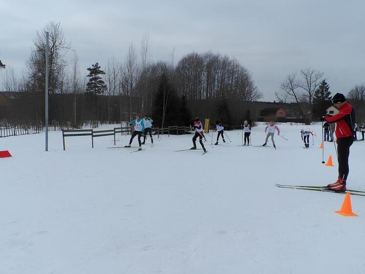 В Твери начали работать лыжные базы