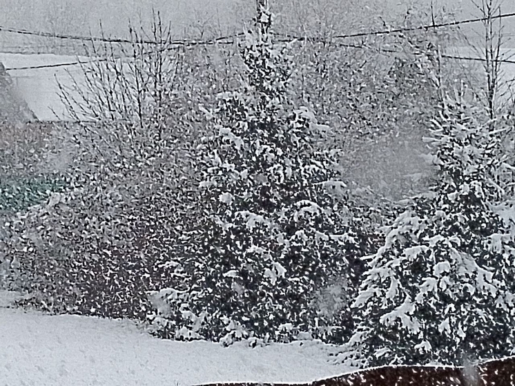 В Ленобласти 3 января облачность, снег и до −11 градусов