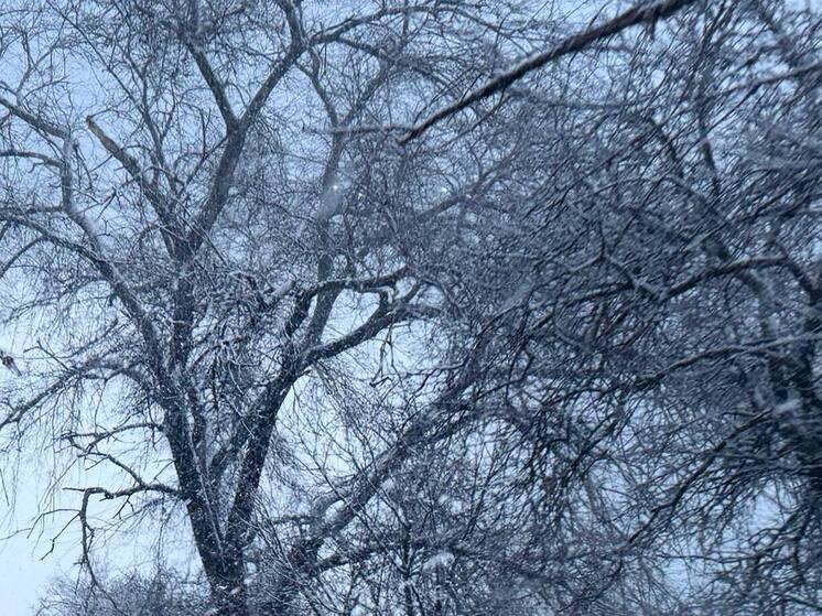 Над Ростовской областью сбили 6 БПЛА и еще один над Азовским морем