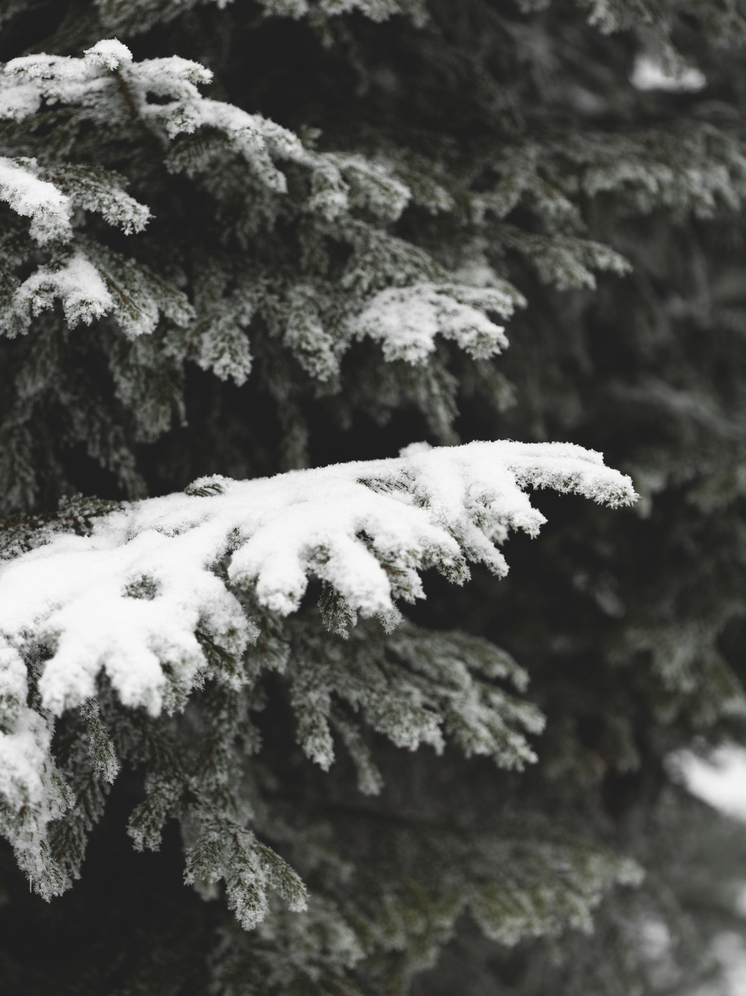 Гололёд и морозы до -23°С: погода в Томской области 3 января