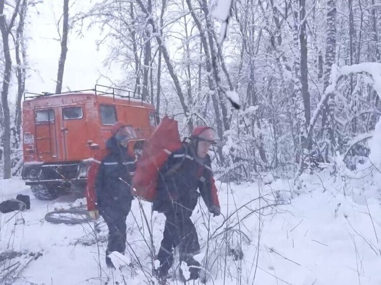 В Новгородской области к электричеству подключили 180 населенных пунктов
