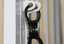 70-летний житель Подмосковья осужден Пушкинским городским судом за многократные угрозы в адрес судьи – злопыхатель обещал пробить служителю Фемиды голову или облить его серной кислотой