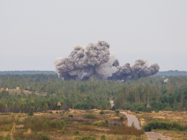 Дизен: российские удары по Одессе стали прямым ответом на атаки Киева по судам