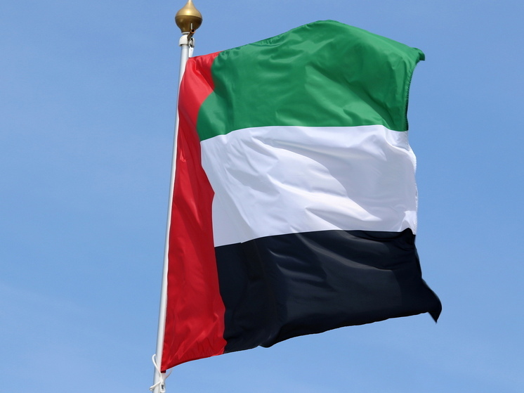 Минобороны ОАЭ заявило о выводе войск из Йемена