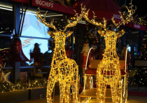 Новый год в Турции – не самый любимый и главный праздник